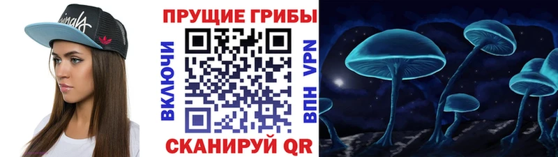 Псилоцибиновые грибы Cubensis  Полярные Зори 